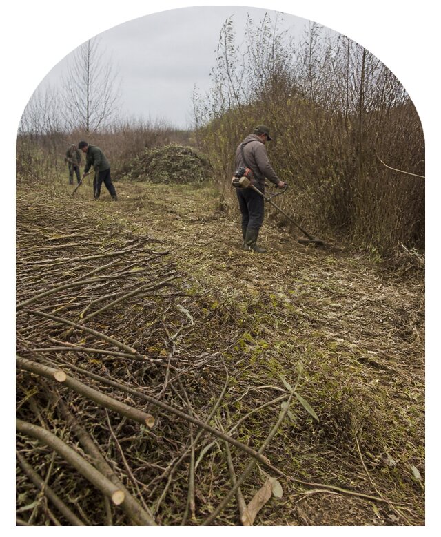 Удаление кустарника в Воронеже по цене от 5908 р. | Метпроект-Врн
