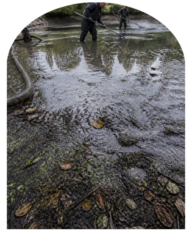 Очистка пруда в Воронеже от ила мусора и водорослей с вывозом